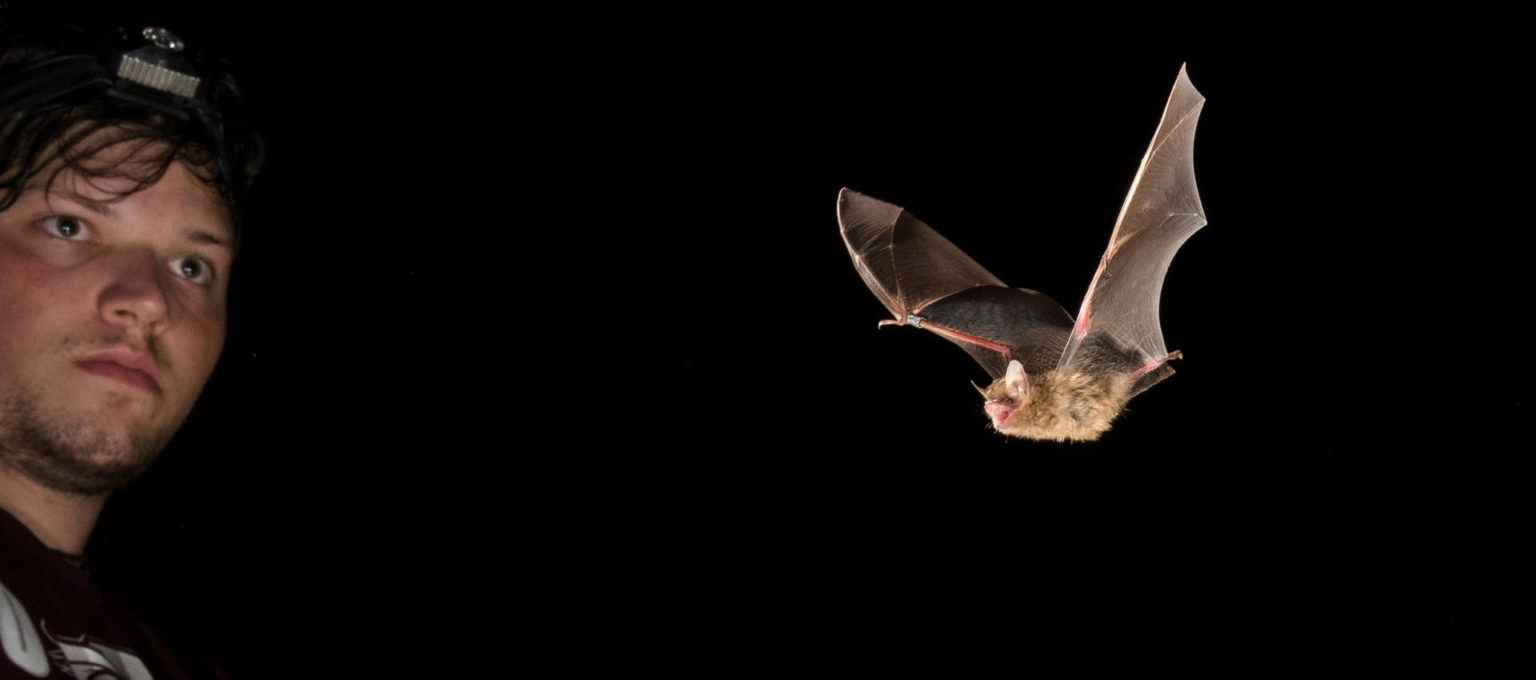 Copperhead Environmental Consulting We are environmental consultants.