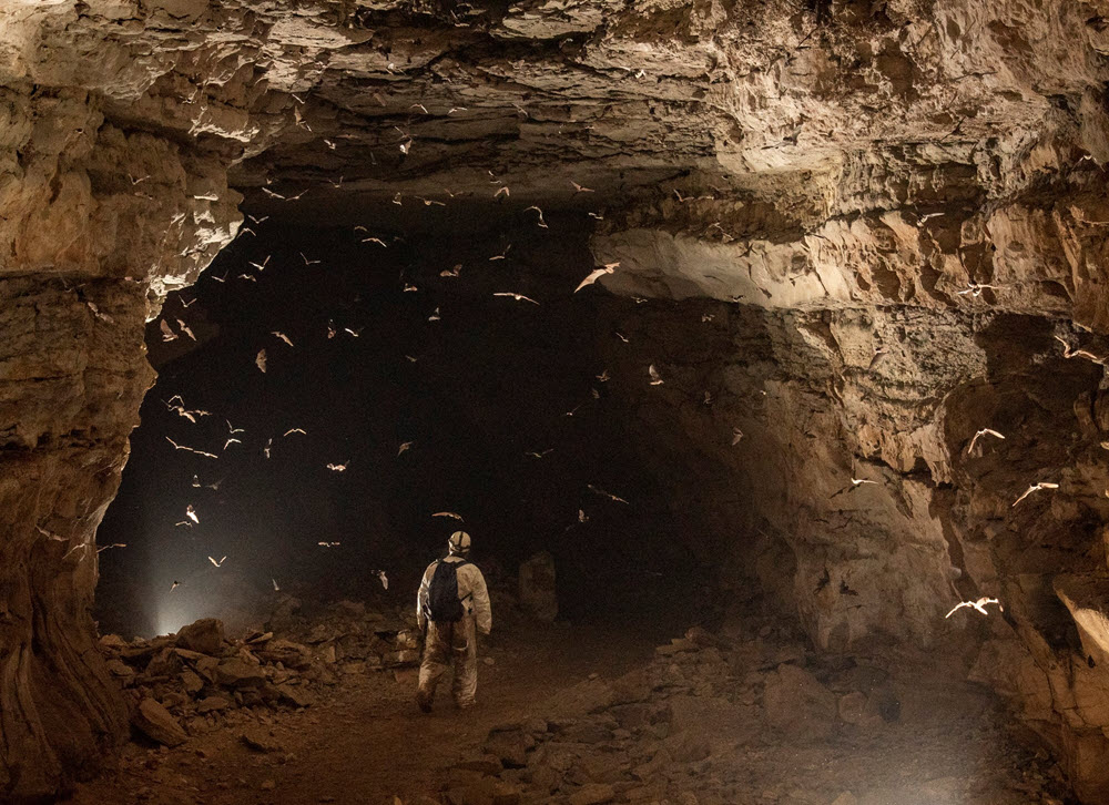 Gallery Copperhead Environmental Consulting